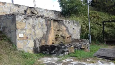 Басейн, Плачковци