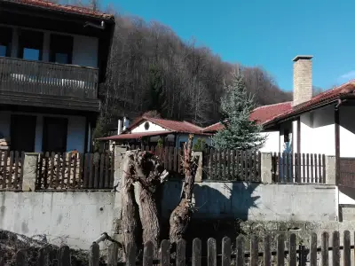 Басейн, Плачковци