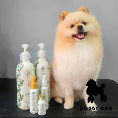 Grooming Studio & Boutique Doggy Dog / Груминг студио & Бутик Доги Дог