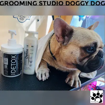 Grooming Studio & Boutique Doggy Dog / Груминг студио & Бутик Доги Дог