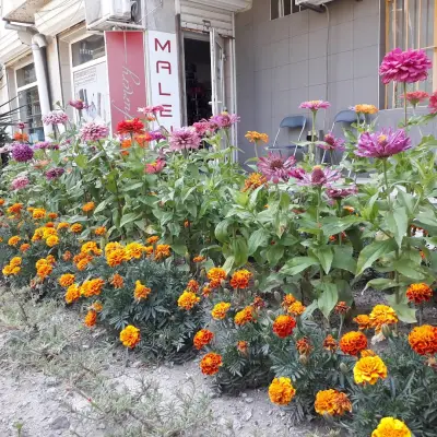 Парфюмерия "Малена"