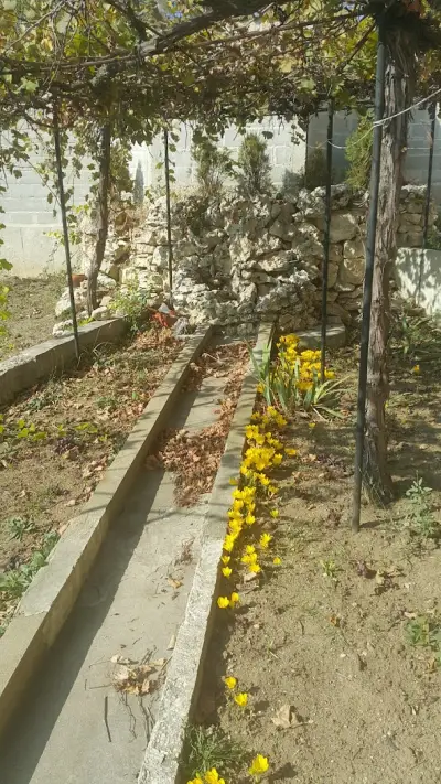 Лятна вила Бутик Варна