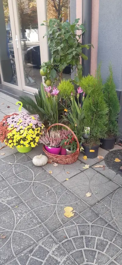 Бутик за цветя Luxe Flowers
