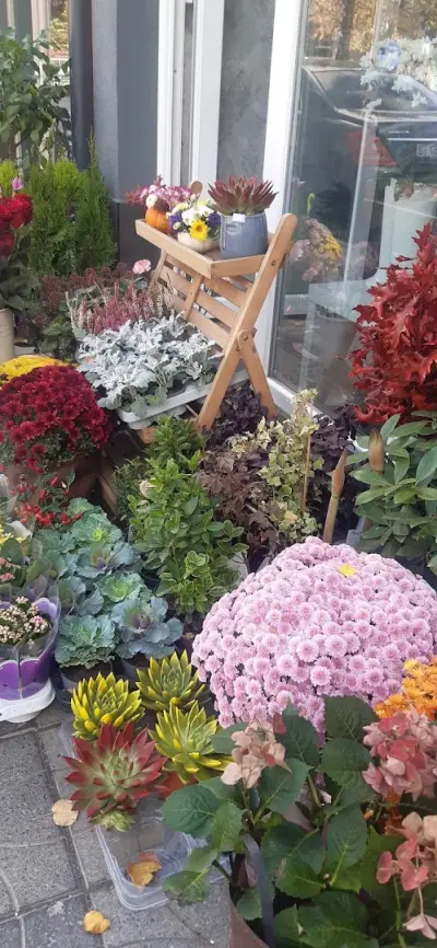 Бутик за цветя Luxe Flowers