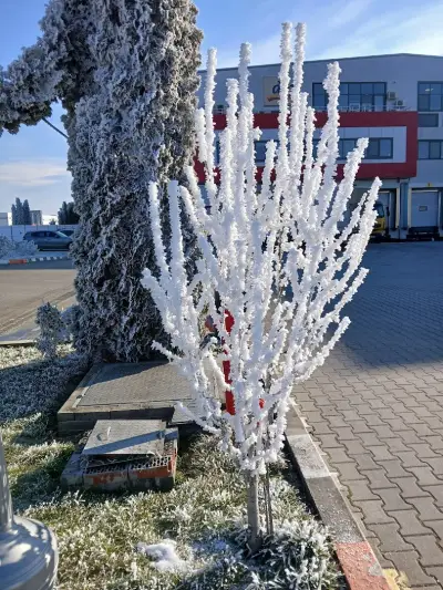dm България Централен склад