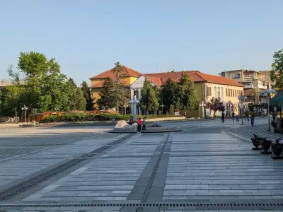 МИКРОТЕХ-РОСЕН ГЕОРГИЕВ