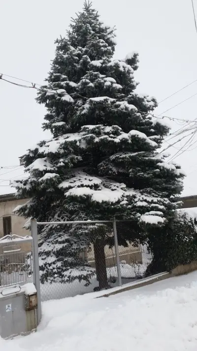 БЕЛТЕКС - М