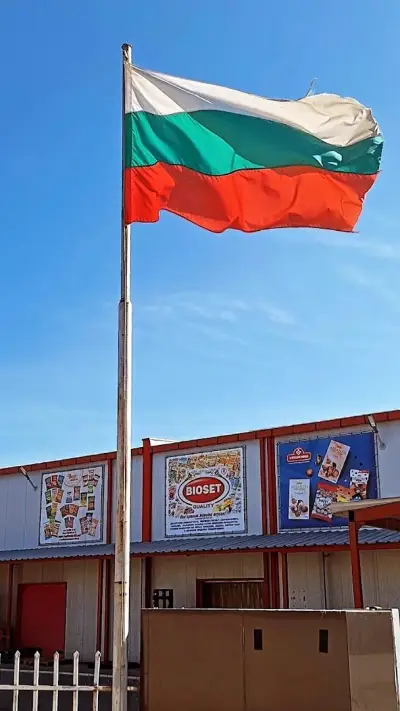 Мони Комерс ООД Склад Захарни Изделия