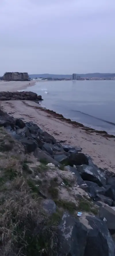 Опаковка БГ Пловдив