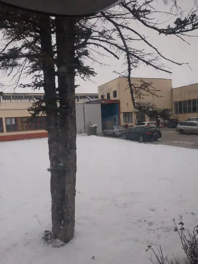 Димс-92 ЕООД