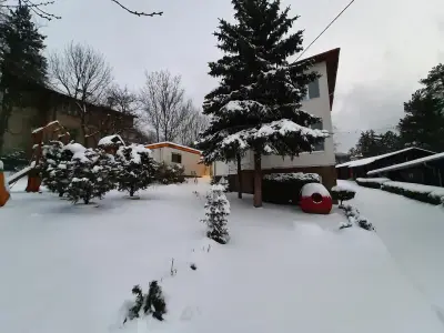 Камелини Монтесори