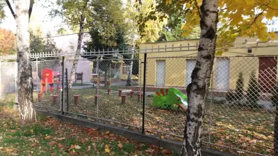 43ДГ “Талант”