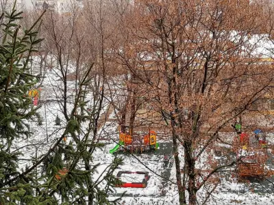 ДГ №36 „Пеперуда“ (с яслени групи)