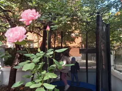 Серендипити - къща на децата