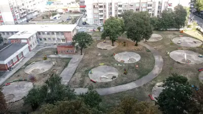 81 ОДЗ „Лилия“