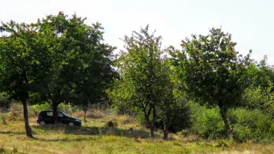 ДГ №101 Ябълкова градина