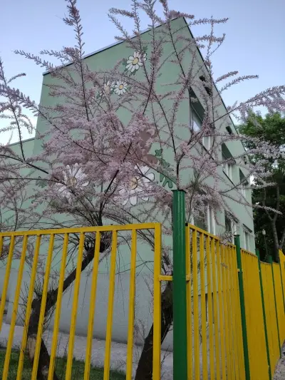 ДГ 48 „Братя Грим“