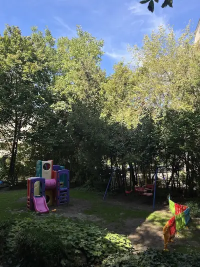 ЧДГ Звездичка