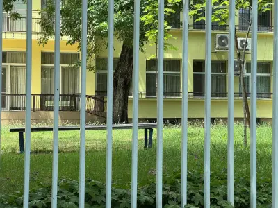 ДЯ 31 „Палавници“