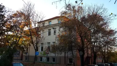 85 ДГ Родина