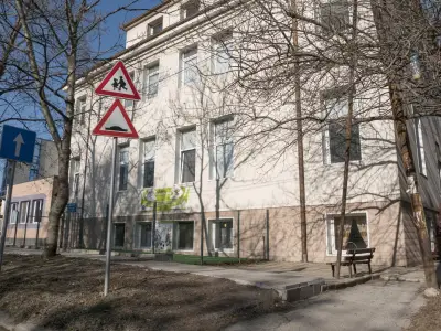 85 ДГ Родина