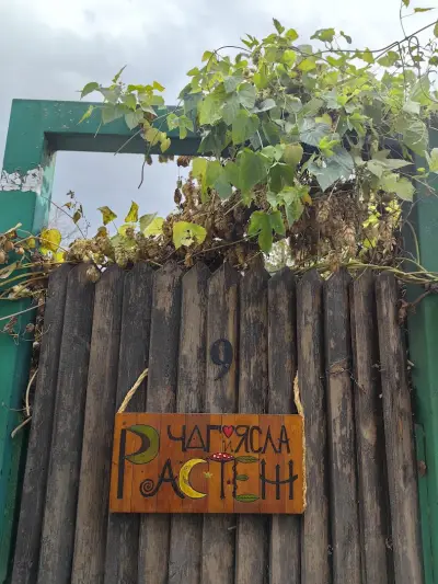 Частна детска градина и ясла "Растеж" / Growers Day Care