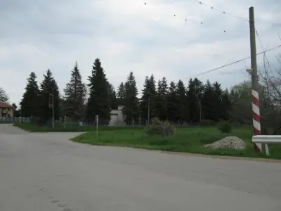5 ЦДГ