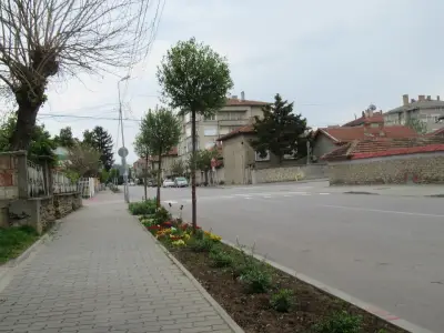 5 ЦДГ
