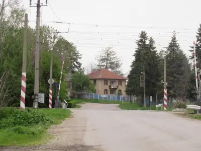 5 ЦДГ