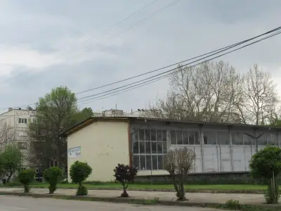 5 ЦДГ