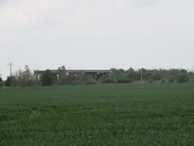 5 ЦДГ