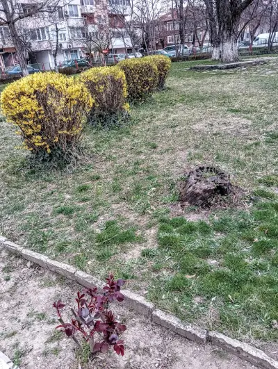 Детска ясла „Дара“