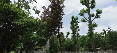 ДЕТСКА ЯСЛА МИР (ДЯ)