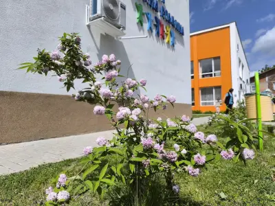 197 ДГ „Китна градина“