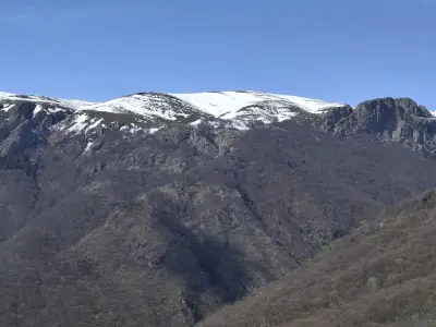 ЦЕЛОДНЕВНА ДЕТСКА ГРАДИНА ЕДЕЛВАЙС (ЦДГ)