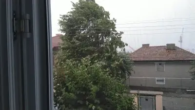 ЦЕЛОДНЕВНА ДЕТСКА ГРАДИНА ПРОЛЕТ (ЦДГ)