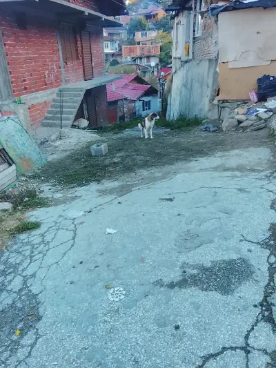 Детска градина "Слънчо"
