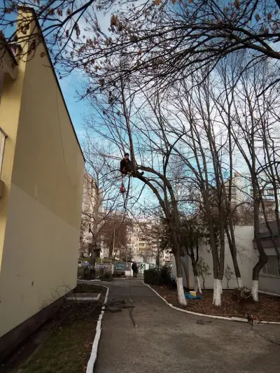 ДГ "Славейче"