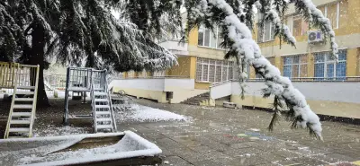 ДГ 28 Пролет