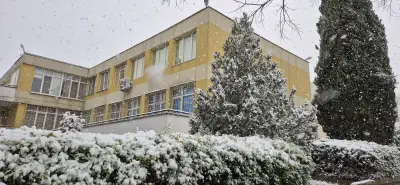 ДГ 28 Пролет