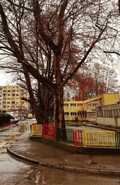 ДГ36 "Морска Звездица"