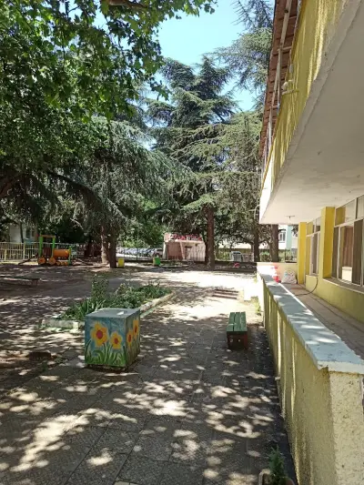 ДГ 22 "Мечо Пух"