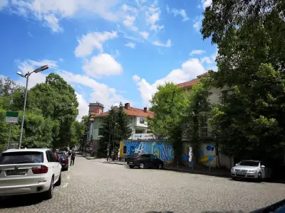 Алианс