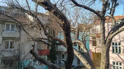 Жельо Костов (149)