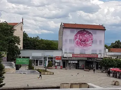 Терасист ООД