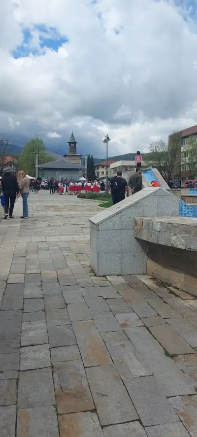 НОТАРИУС ЕЛЕНА ПЕТРОВА (589)