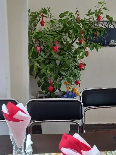 Бързо хранене Кита