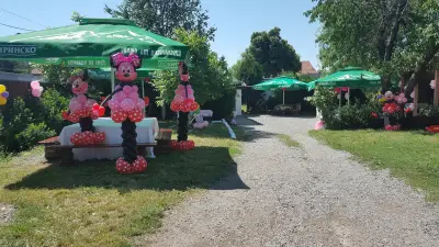 Парадайс
