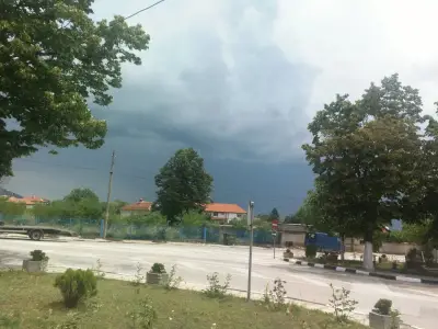 ЦЕЛОДНЕВНА ДЕТСКА ГРАДИНА РОЗА (ЦДГ)