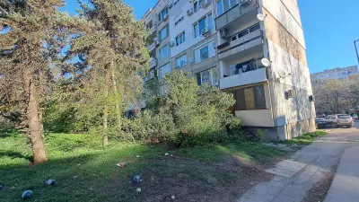 Фотостудио ЧАРА І София І Сватбена фотография І Абитуриентски балове І Кръщенета І Лични събития І Фотосесии І